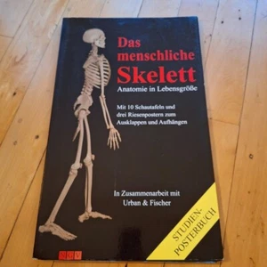 Das menschliche Skelett Posterbuch NGV - Anatomie Lebensgröße - leichte Gebrauch - Bild 1 von 9