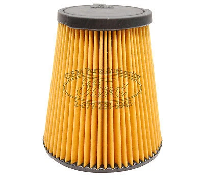 Filtro de aire de repuesto de stock de motor Ford Mustang GT 5.0 V8 2010-2014 NUEVO OEM Foto 1 de 4