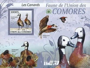 Birds Stamp Duck Ducks Canards Marine Fauna Souv. Sheet Mint NH - Picture 1 of 1