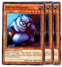 Set 3 Carte : RATTO GIGANTE Giant Rat Comune da Mazzo in Italiano YUGIOH