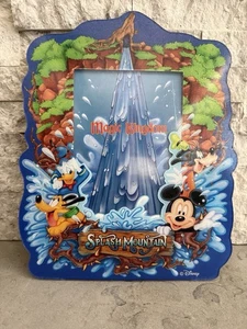 New VTG. Splash Mountain Acrylic Picture Frame  - Picture 1 of 6