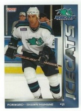 Shawn Mamane 2000-01 Worcester IceCats (AHL)