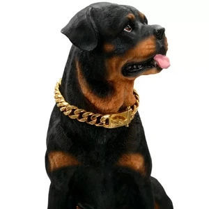 Luxury 316 Stainless Steel Gold Chain Dog Collar Cuban Link Pet Necklace 10"-26" - Picture 1 of 13