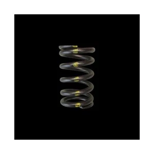 Brian Crower VALVE SPRINGS SINGLE For Toyota 2JZGTE Lexus 2JZGE - Picture 1 of 1