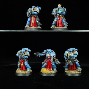 Sternguard Veterans Ultramarines Painted Space Marines Warhammer 40k Primaris - Picture 1 of 10