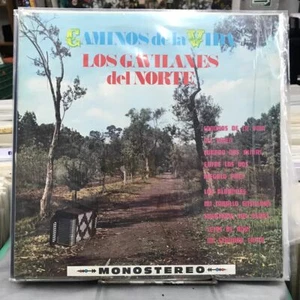 LOS GAVILANES DEL NORTE -CAMINOS DE LA VIDA- 1972 MEXICAN LP NORTEÑO - Imagen 1 de 4