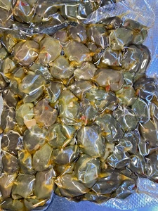 500 g OLIVE VERDI OFFERTA SOTTOCOSTO REGALO CALABRIA SAPORE SUD TRADIZIONE ASTA - Imagen 1 de 6