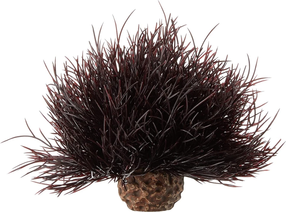 Oase Biorb Plant Crimson Sea Lily Ball Weighted plastic aquarium safe Small NEW