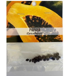 Papaya Seeds Solo HAWAIIAN PAPAYA - 1 Pack - Picture 1 of 6