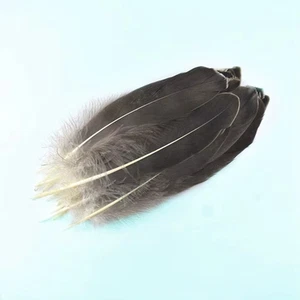 50 Piezas Plumas de Águila Natural para Decoración Artesanal Hágalo Usted Mismo Suministros de Arte Plumas - Imagen 1 de 17