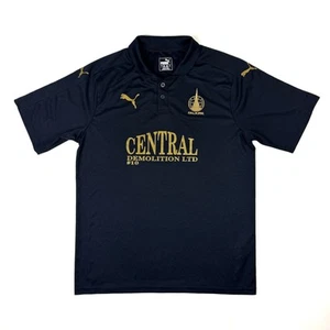 Falkirk Puma 2015/16 Home Football Jersey Shirt Blue Size L - Picture 1 of 6