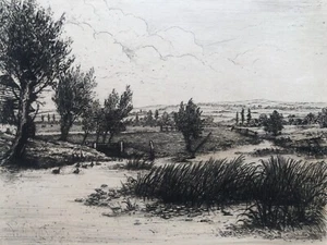 William Walter Burgess - Grabado / Grabado - A Streamlet's... - Imagen 1 de 5