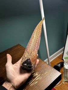 VTG ANTIQUE Ring Necked Pheasant Velvet And Bakelite Hair Pin Flapper 1930’s 16” - Picture 1 of 13