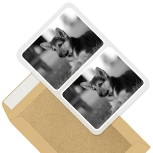 2 x rechteckige Aufkleber 7,5 cm BW - Deutscher Schäferhund Welpe Tiere Haustiere #41327 - Bild 1 von 9