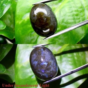 Big! 34.71ct Oval Cabochon Natural Rainbow With Luster Labradorite Gemstone - Picture 1 of 6