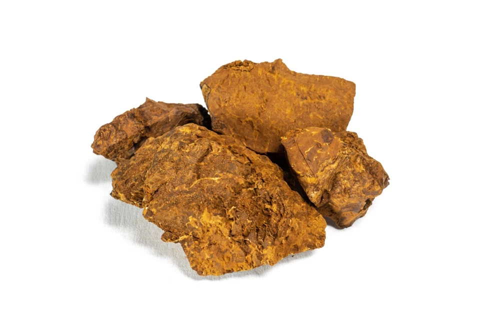 DETOX TRADING Chaga Mushroom Chunks - Foraged/Wild Harvested
