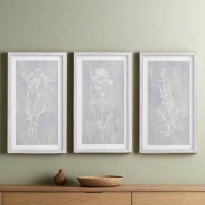 Gerahmte Botanische Drucke 3er Set - Modernes Bauernhaus grau - Bild 1 von 10