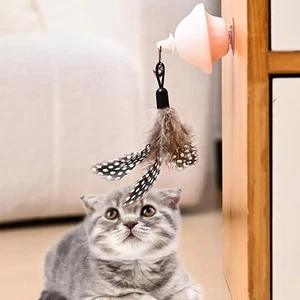 Mushroom Cat Toys Indoor Playing Kitten Teaser Game Toy Dog Cat Training Ball - Picture 1 of 6