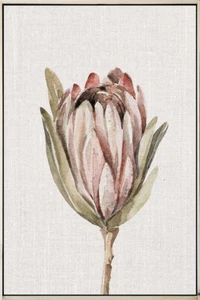 French Country Framed Canvas Print Espresso Floral Protea 60x90cm - Picture 1 of 1