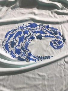 Costa Del Mar Flotilla Tech Crew Langarmshirt UPF 50+ Größe M Mintgrün - Bild 1 von 6