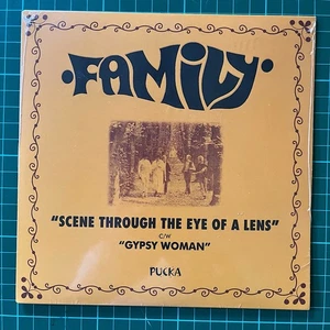 FAMILY SCENE THROUGH THE EYE OF A LENS UK RARE 2015 RSD ISSUE MINT STILL SEALED - Picture 1 of 2
