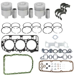 3000 Tractor 175 CID Diesel Engine 4.2 Overhaul Kit Fits Ford - Picture 1 of 5
