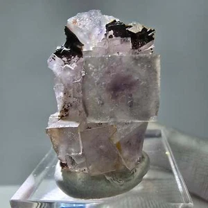 Seltene UV Phantom Fluorit Würfel Stufe lila grün Brandberg, Namibia 29*20*19mm - Bild 1 von 6