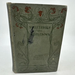 Sweetbrier and Thistledown by James Newton Baskett 1902 W.A. Wilde Company HC - Picture 1 of 15