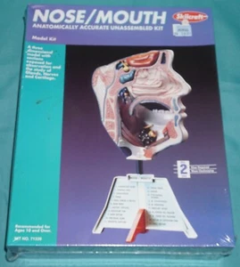 SKILCRAFT NASE/MUND ANATOMISCH GENAUER MODELLBAUSATZ #71339 WERKSEITIG VERSIEGELT - Bild 1 von 6