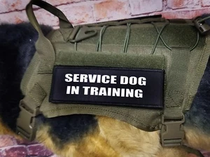 Service Dog In Training Patch with Hook Backing K9 Black 2x6" - Picture 1 of 2