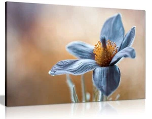 Blaue Paske Blume Floral Nahaufnahme gerahmter Leinwanddruck Wandbild Wohndeko - Bild 1 von 6