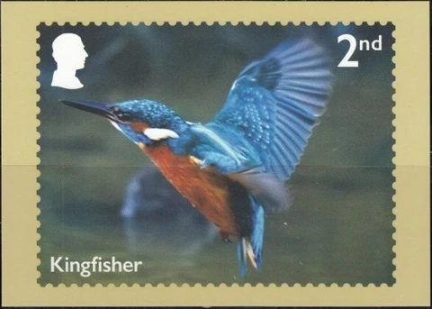 GREAT BRITAIN River Wildlife-Kingfisher PHQ Card Cover