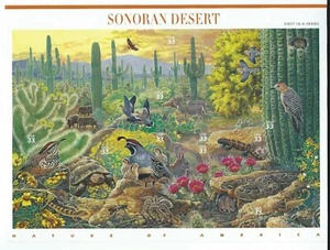 United States Sc 3293 Sonoran Desert - Picture 1 of 4