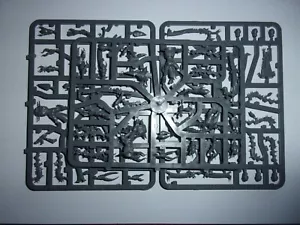 Warhammer 40.000 - Drukhari Incubi x5 - komplett auf Anguss - Bild 1 von 3