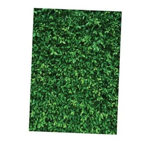  Green Leaves Photography Backdrops Nature Leaf Backdrop Birthday 5x7FT - Picture 1 of 5