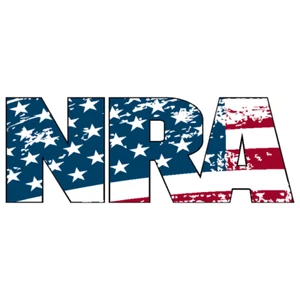 NRA NATIONAL RIFLE ASSOCIATION GUN RIGHTS 2nd AMENDMENT AMERICAN FLAG STICKER US - Picture 1 of 5