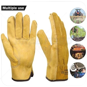 Gardening Gloves for Men and Women - Tough, Thorn Proof Comfortable Breathable - Picture 1 of 6