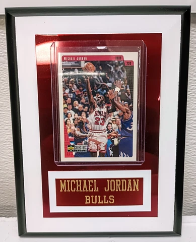 Chicago Bulls Cover