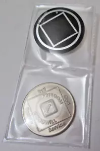 1 Year Narcotics Anonymous NA Medallion Coin Chip 1996 WSO Series Token - Picture 1 of 10
