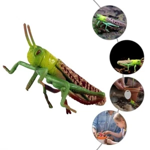 2Pcs Cartoon Locust Statue Plastic Animal Toys Locust Animal Model Home - Picture 1 of 12