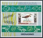 [108792] Grenadyny Grenady 1979 Ptaki Kołnierz Kołnierz Morski Life Sheet MNH
