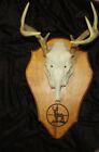 11 X 16 TAXIDERMY MOUNTING PLAQUE HUNTING MULE WHITETAIL W/LASER ENGRAVED DEER