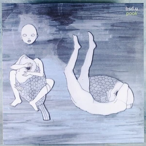 bsd.u Pook Vinyl Record LP New Transparent Green 12" 2023 Reissue Lofi Girl - Picture 1 of 11