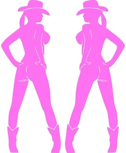 Sexy CowGirl Decal Adult Woman PinUp Car Bumper Window Vinyl Sticker Laptop Fun - Picture 1 of 13