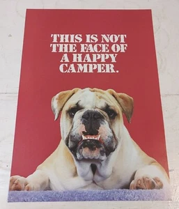 Vintage Argus "This is Not The Face of A Happy Camper" Bulldogge Poster 1988 19 x 13,5 Zoll - Bild 1 von 2