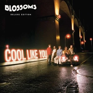 Blossoms - Cool like You von (CD, Digipak 2018) Neu versiegelter Zustand - Bild 1 von 2