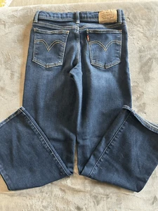 Levi Strauss Workwear Boy's 12 Reg Adjustable Waist Loose Fit Wide Leg Jeans EUC - Picture 1 of 7