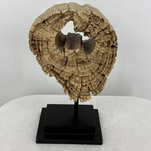Unbranded Tree Slice Wooden Resin Sculpture Metal Stand Home Decor - Picture 1 of 7