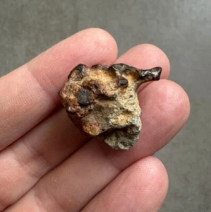 Meteorite achondrite ung dunite NWA 15717 pairing 8.6g - Foto 1 di 3