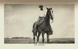 THE STRIPPER NW OKLAHOMA TERRITORY HISTORY CHEROKEE STRIP LAND RUN OT LEE ADAMS - Imagen 1 de 2